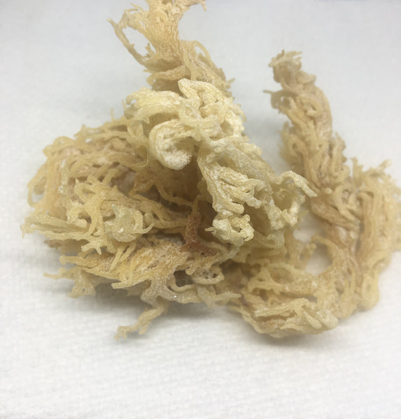 Raw Irish Sea Moss