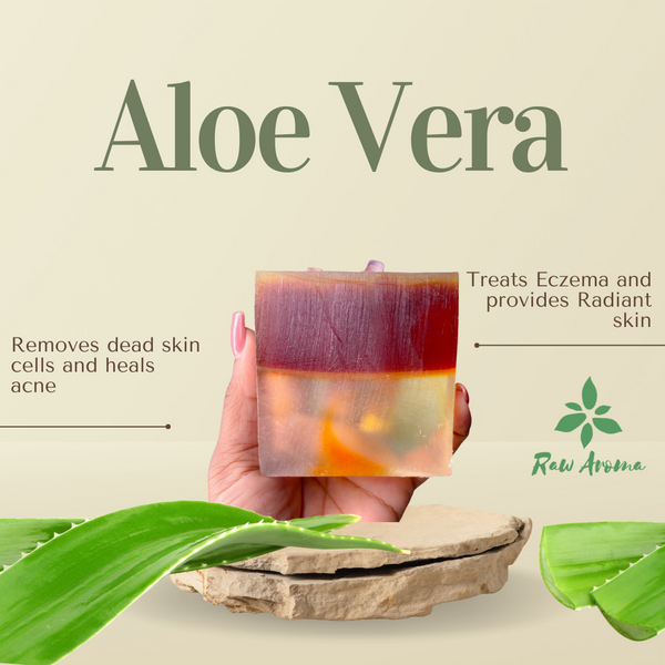 Aloe Vera + Turmeric (Unscented)