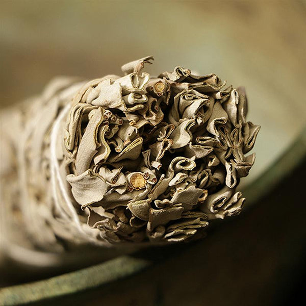 California White Sage Pure Leaf